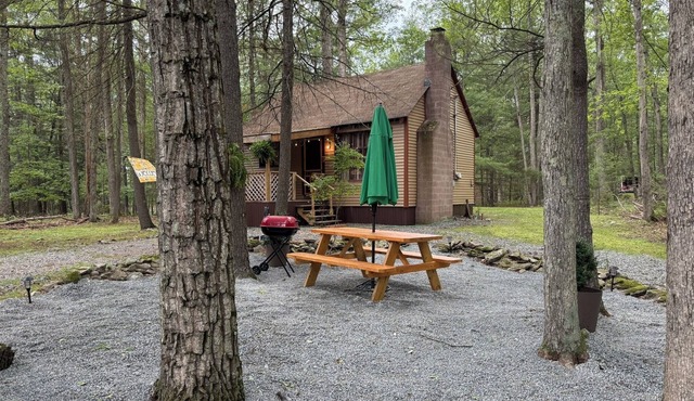 Cozy Cabin in the Woods - Near Lake Wallenpaupack