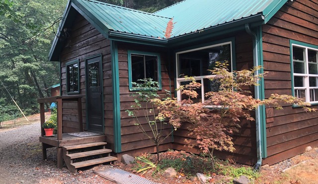 Cozy cabin in the woods with internet, hot tub,fire pit, grille, gas stove