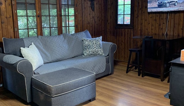 Cozy cabin, lake view, screened porch, 100 steps to the areas best beach.