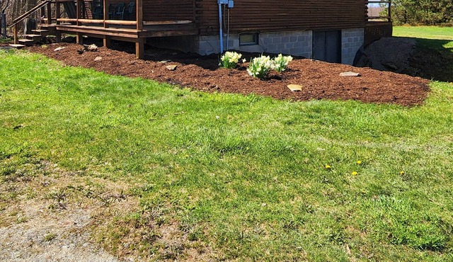 Cozy Cabin located over 30 acres of land