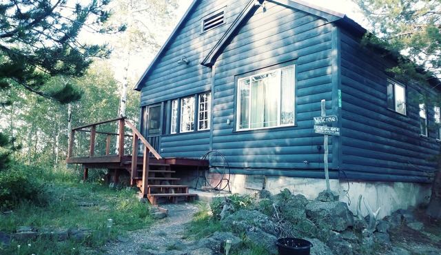 Cozy Cabin minutes from Yellowstone, fly fishing, skiing and snowmobiling.