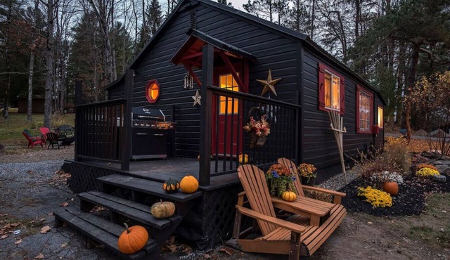 Cozy Cabin Near kayuta Lake-The Black Bear