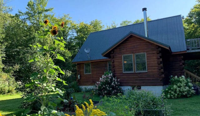 Cozy Cabin near Lake Ontario Ideal for a Family Retreat