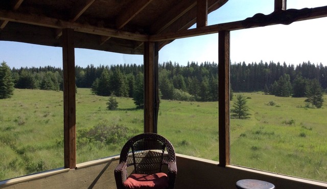 Cozy cabin near RMNP with screened-in deck, forest and meadow views