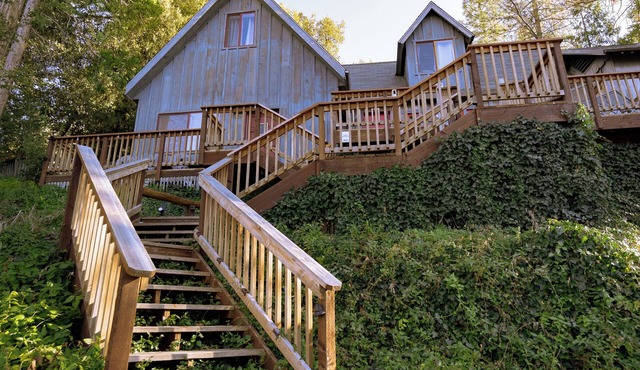 Cozy Cabin Near Yosemite & Corlieu Falls