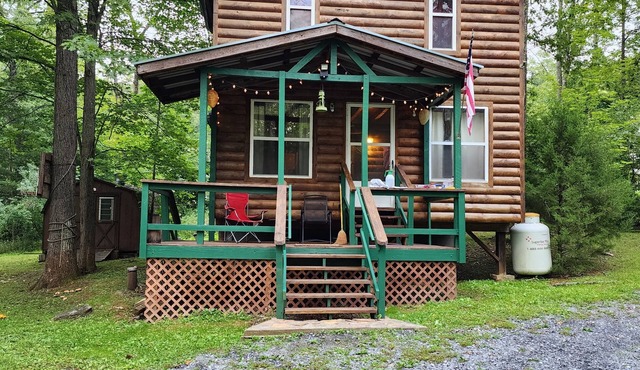 Cozy Cabin Nestled at the base of the Bald Eagle Mtn.