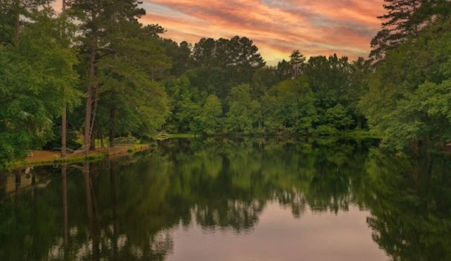 Cozy Cabin nestled by picturesque 3.4ac Lake. Close to Stableview and downtown.