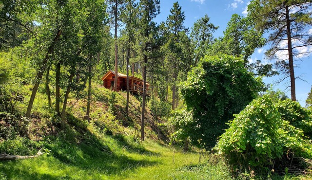 Cozy Cabin nestled in the Valley - 10 minutes to downtown Spearfish!