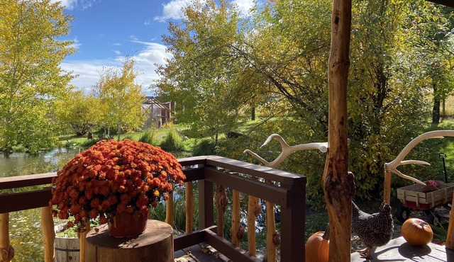 Cozy cabin nestled beside a spring-fed pond&hobby farm in the Elkhorn Mountains