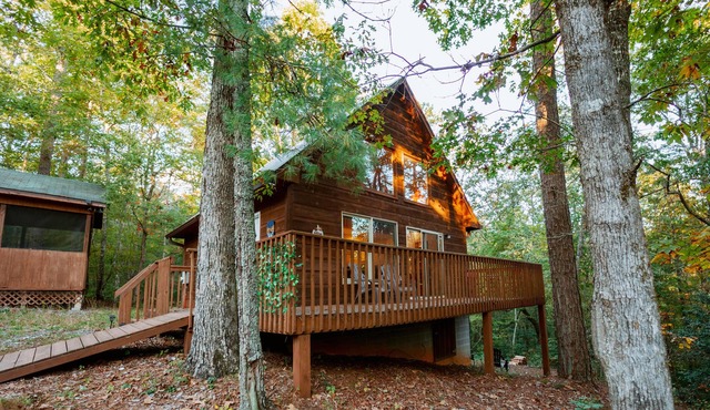 Cozy cabin, off-road experience with assigned work space and WiFi