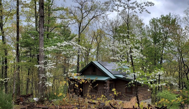 Cozy Cabin on 11 acres with Lake/Mtn. Views! w/new wifi and excellent cell svc.