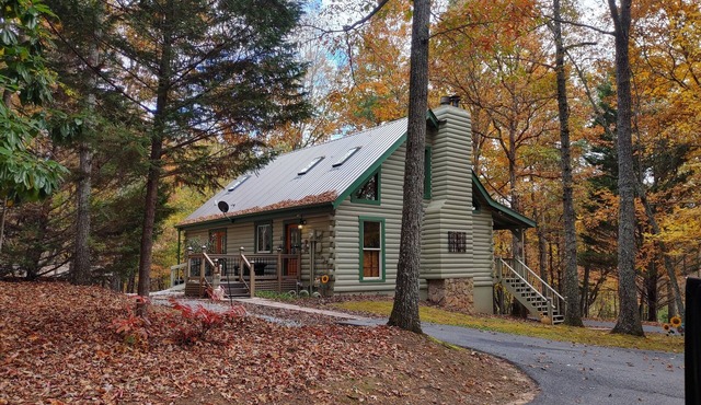 Cozy Cabin on 4 acres of fun! Pavilion, Firepit, Swing, Walking trail to creek!