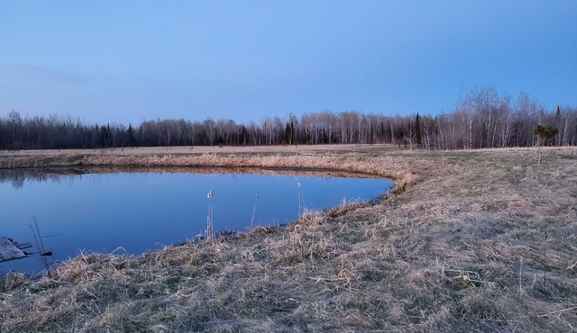 Cozy Cabin on 40 Acres *Near Sax Zim Bog and Access to St. Louis River*