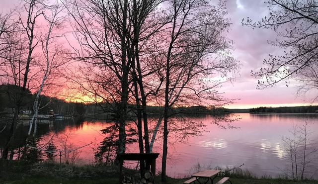 Cozy Cabin on Nelson Lake