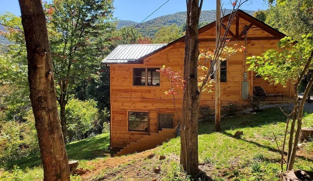 Cozy Cabin on Roan Mountain with a view and WIFI