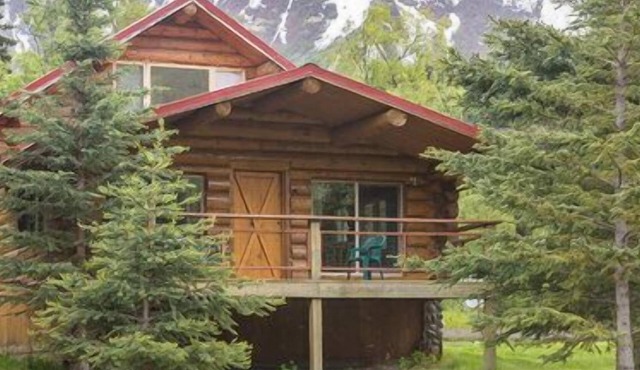 Cozy Cabin on the Kenai River