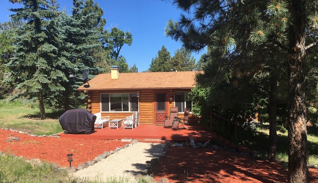 Cozy Cabin On The Creek - Now with internet!