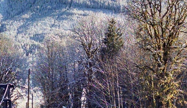 Cozy cabin on the river near Stevens Pass. Pet friendly with lots of amenities