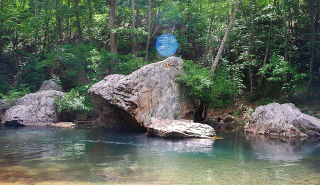 Cozy Cabin on the River: Swim, Hike & Relax on the Banks of the Dry River