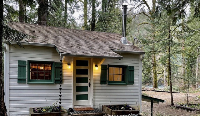 Cozy cabin on the Cedar River