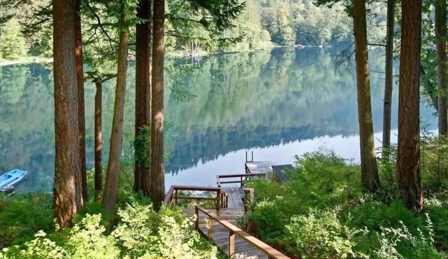 Cozy Cabin on Walker Lake in Enumclaw