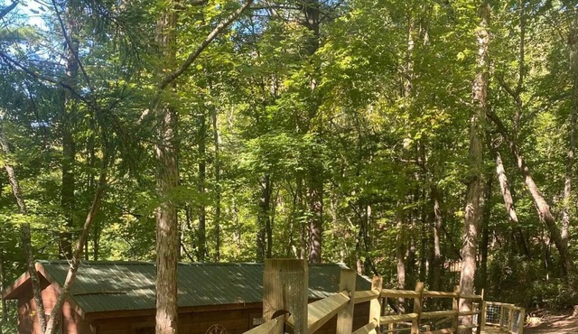 Cozy Cabin private retreat, screened in porch, nice deck and firepit