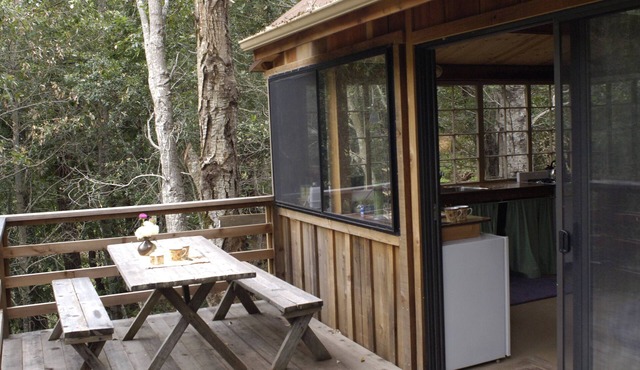 Cozy cabin retreat nestled in the redwoods, in Big Surn