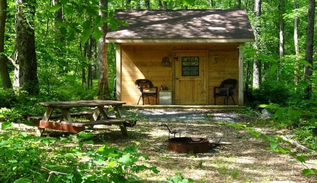 Cozy Cabin Rental in the Woods near Swallow Falls State Park, Maryland