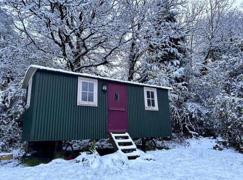 Cozy Cabin Retreat near Chepstow