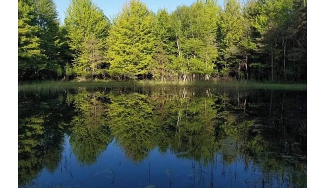 Cozy Cabin Retreat Pond & Trails – Nature Awaits!