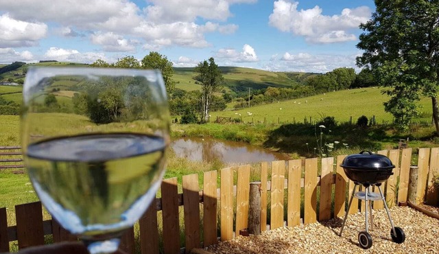 Cozy Cabin Retreat - Sleeps 2 & a Child