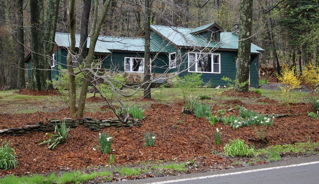 Cozy Cabin - Step into spring with comfort, fresh air, and room to unwind.