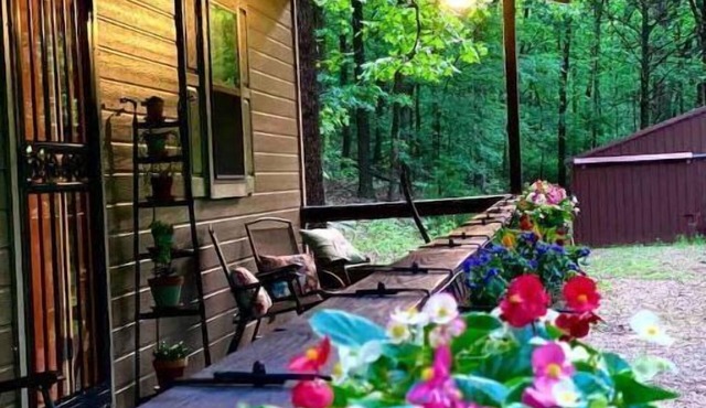 Cozy Cabin Surrounded by Beautiful Woods