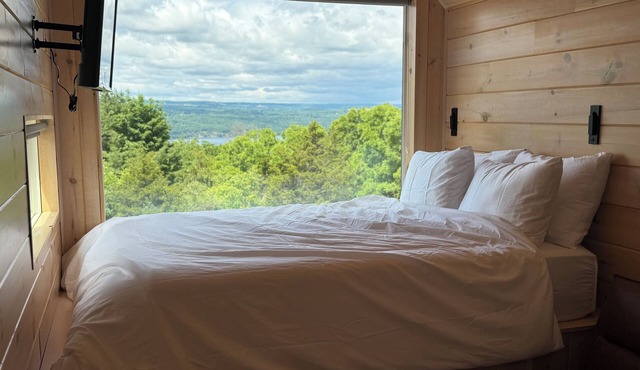 Cozy cabin tucked in the heart of the finger lakes with a lake view and patio!