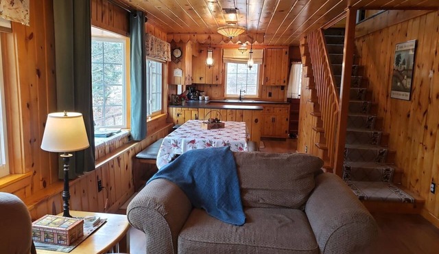 Cozy Cabin for Family and Friends Near Pikes Peak
