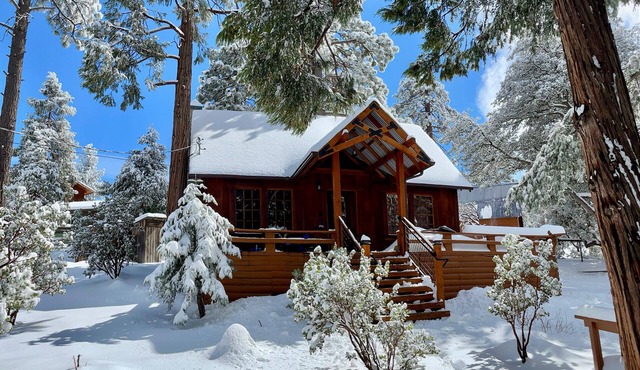 Cozy cabin retreat nestled among forest trees