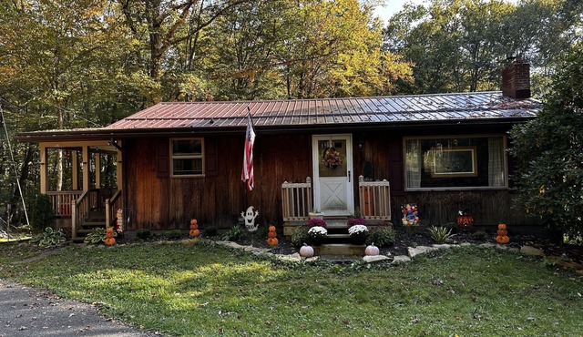 Cozy Cabin