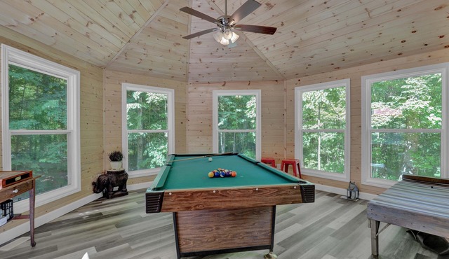 Cozy Cabin w/Central Heat/Fireplace/Game Room/Snowshoes. 45 min. N. of Kingston