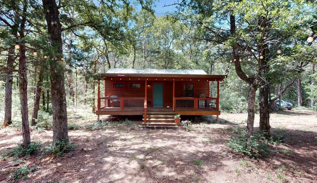 Cozy cabin w/covered porch, relaxing hammock & porch swing