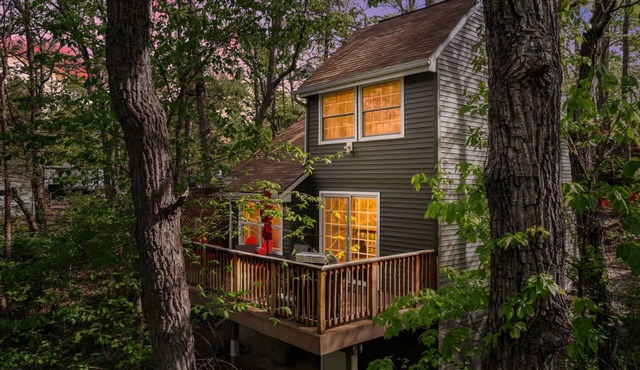 Cozy cabin w/fireplace, deck & dog-friendly
