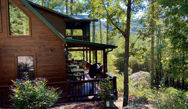 Cozy Cabin w/great views, and close to Aska hiking trails!- Blue Ridge