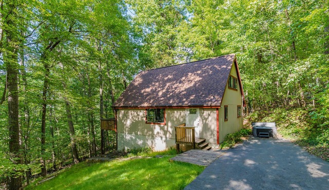 Cozy cabin w/hot tub & fire pit w/pet-friendly