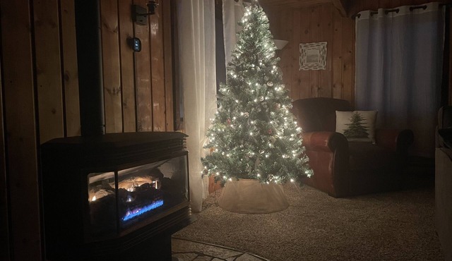 Cozy cabin w/hot tub- 30 miles from Yellowstone!