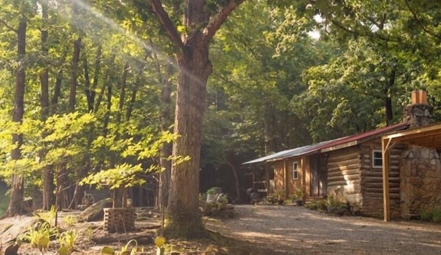 Cozy Cabin w/Hot-Tub In The Beautiful Mountains of North Carolina,nPet Friendly!