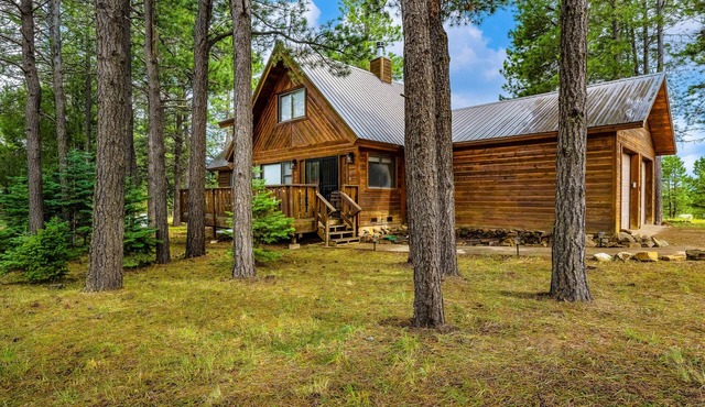 Cozy Cabin w/Hot Tub, 2 King Suites, Firepit, Grill, Decks, Near Golf & Biking