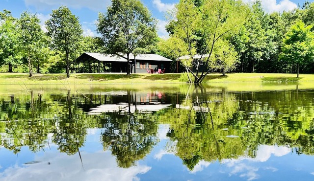 Cozy cabin w/private pond & firepit. 3 miles to lake & 12 to Crater of Diamonds