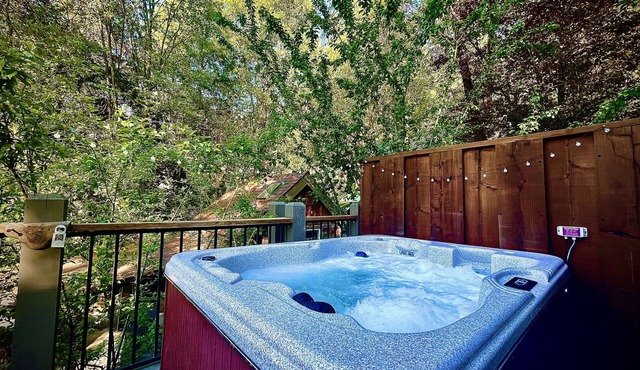 Cozy Cabin w/Views-HOT TUB! Family Dog Friendly!