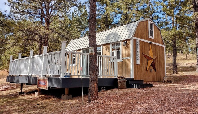 Cozy cabin with AC and WiFi in amazing Black Hills of South Dakato