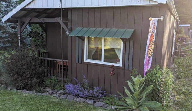 Cozy Cabin with an RV &Camper Hookup nPet Friendly nPeaceful & Relaxing