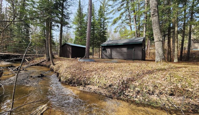 Cozy cabin with backyard stream close to Au Sable River and the best ATV trails
